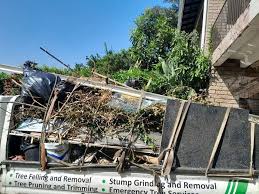 Best Shed Removal  in Lawrenceville, VA